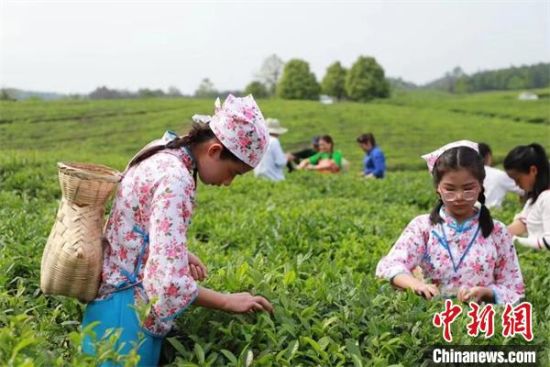 湖南祁陽茶旅融合發展 賦能鄉村振興